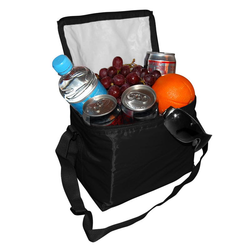 Basic 6-Pack Cooler
