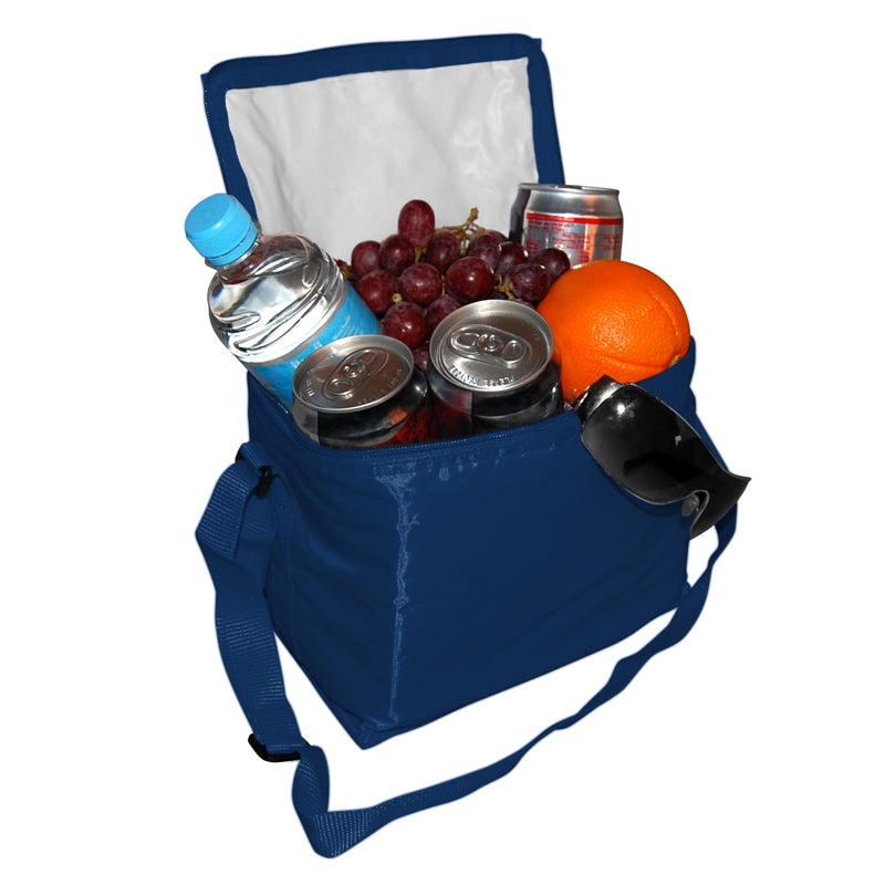 Basic 6-Pack Cooler